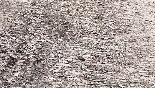 Ormanda aşağılanma...