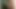 Cumshot and Oral Creampie! I Keep Sucking and Get 2 Loads