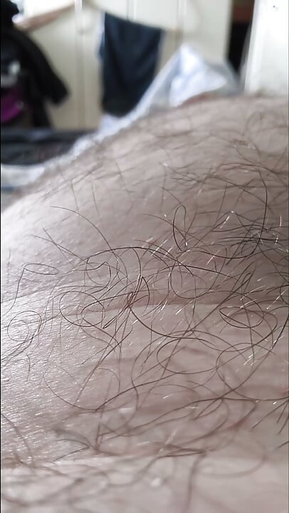 Camera Flight Over the Bear's Hairy Belly