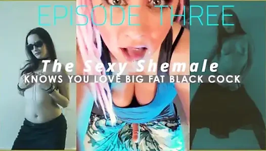Episode 3, die sexy weiß, dass du große fette schwarze schwänze liebst, die ist ich