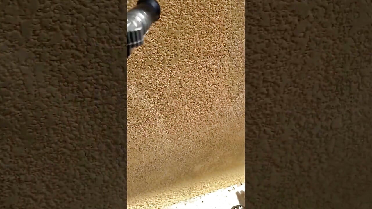 Good suckling from a well licked bear