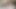 妻が夫がBBCをしゃぶっているところに入ってくる