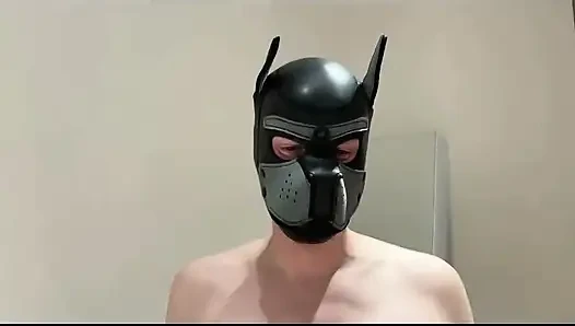 Pup-aufräumtraining