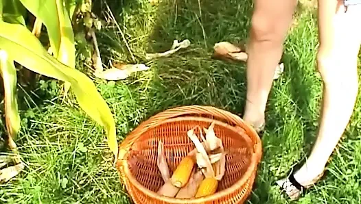 Massive Corn Cob Stretching Gaping Pussy Wide Open Outdoors