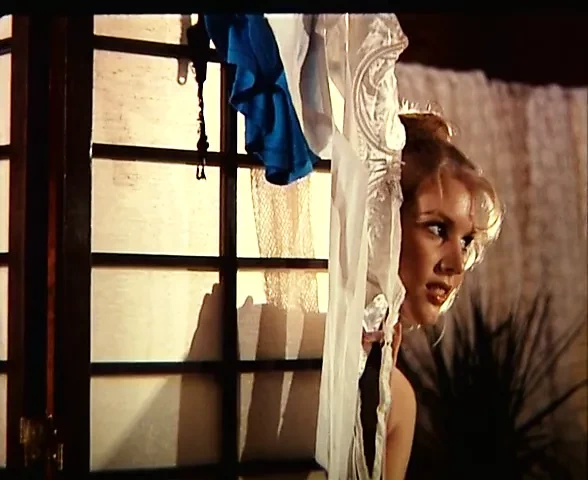 Glitter（1983，美国，整部电影，35Mm，Shauna Grant，Dvd Rip）