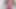 Pink Lingerie Is Back in Front of Our Cameras with a New Porn Idea for This Single Woman
