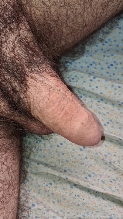 Cock getting hard hands free