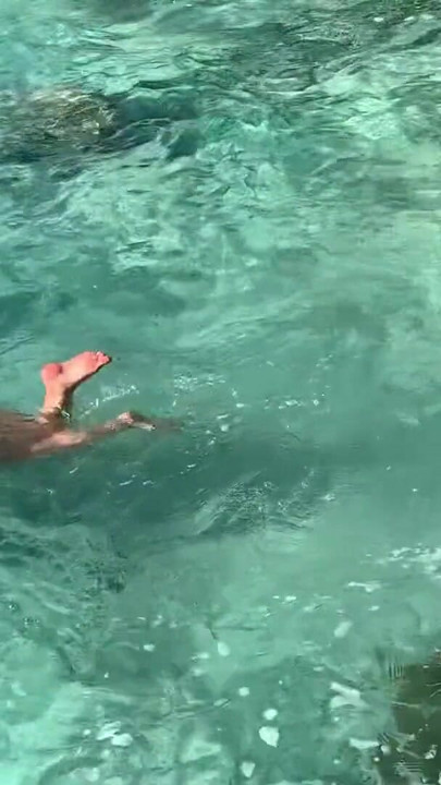 Monika Fox Stopped A Tour Bus To Swim Naked In Sea | Clip 1