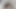 LORE SOFIA BAHARATLı ODADA BÜYÜK DOĞAL GÖĞÜSLERINI GÖSTERIYOR