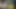 Erkek arkadaşla ilk kez viral seks videoları