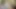 Boxers bate, Phoenix March 2020