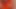 EditBearfield videosu