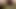 Totally Nuts Cumpilation (for mobile)
