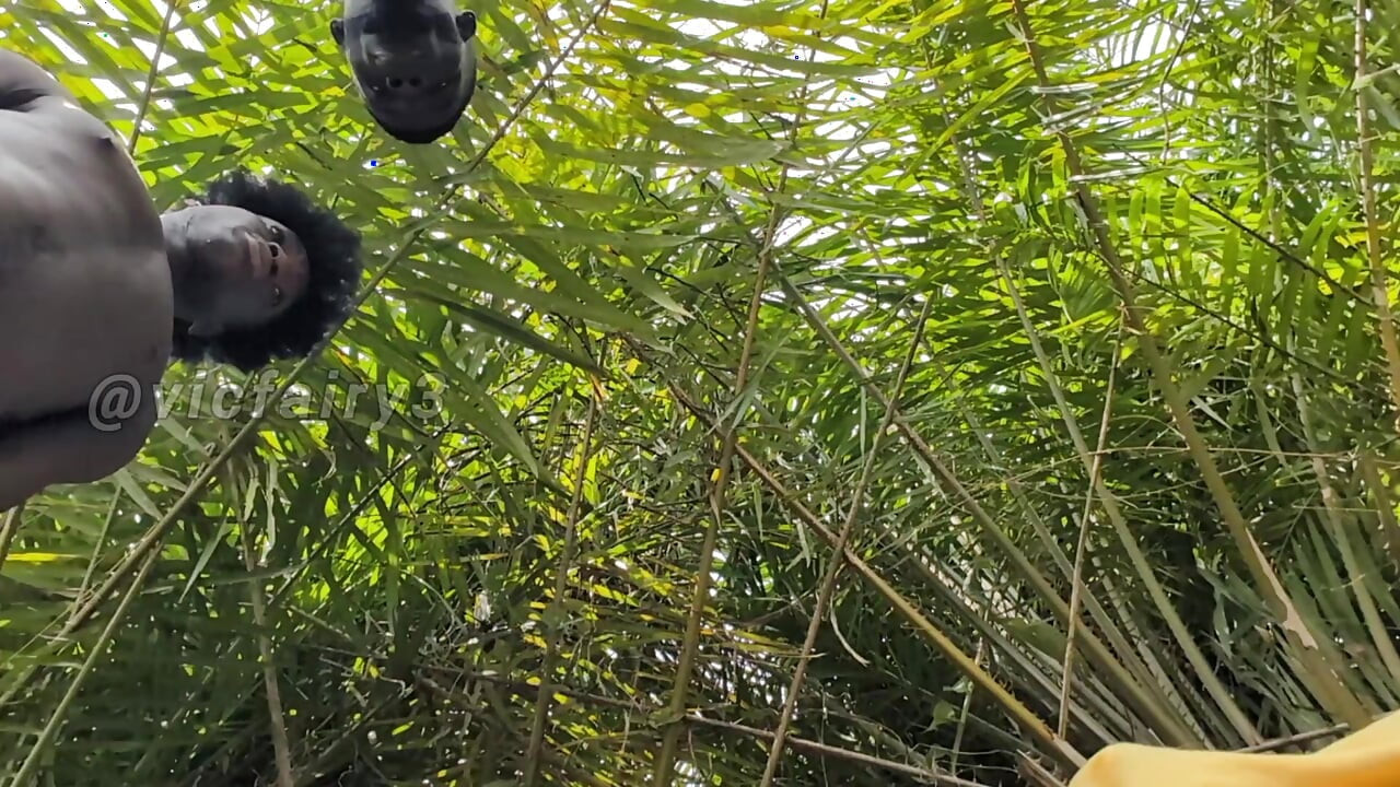 Bush Black Dude
