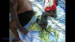 Pregled videozapisa