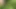Matti shaved on the edge of the forest outside on the road, handjob to orgasm