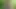 Sucking Cock in the Woods
