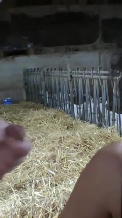 Must-see moment from "A mature woman has her gangbang in the farm next to the goats"