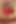 These beauty babes like to show off their skills