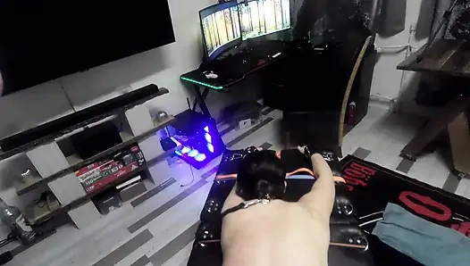 Slave Training From My Master's Point of View