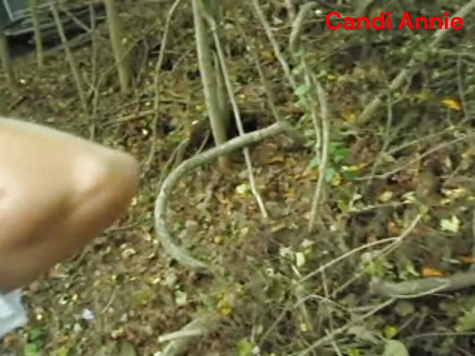 Para la pausa del café, sexy zorra Candi Annie folla compañero de trabajo estilo en primer plano en el bosque!