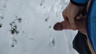 Branlette dans la forêt, le temps de la neige