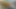 Lezzetli zenci kızla tantrik masajının şehvetle çığlık attığı gerçek video