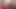 Dani Daniels And Vanessa Veracruz are casual lesbi