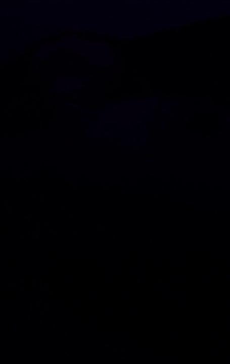 メロンシェイクツバメ