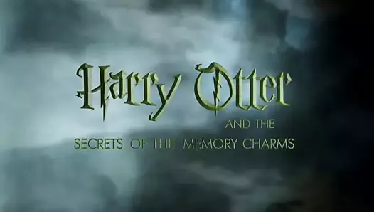 Harry Potter Hermione Granger Hogwarts Cartoon