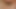 ワイルドファンタジー7