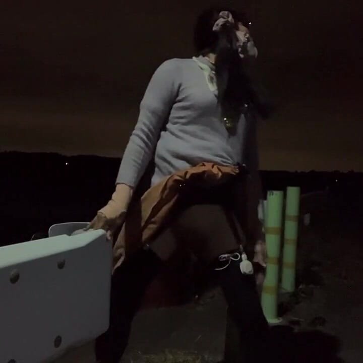 独立训练No32夜间散步中的狗式