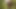 Naughty Elisyahijabdoll BDSM part 11 lost Masturbtion in the woods