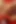 Muhteşem porno yıldızı lezbiyenler kırmızı kanepede grup seks yapıyor