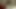 リリ