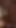 Fucked a Gorgeous Babe and Blasted a Massive Cumshot on Her Back | Clip 1