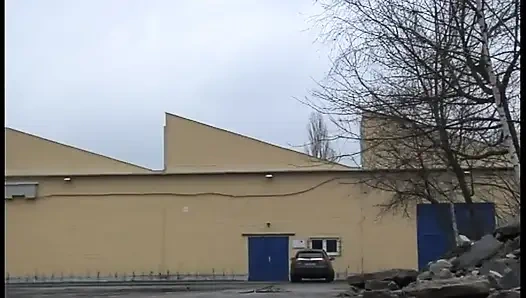 Sex in Luxury Limo with Female Assessor