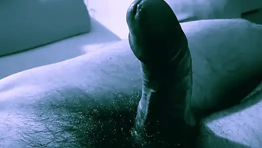 A fat, thick fleshy cock