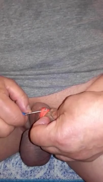 castration elastrator banding extrem 4