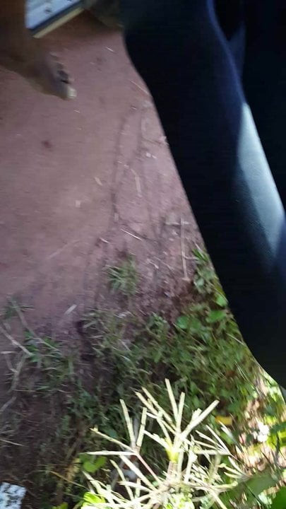 BBW EBONY PISS