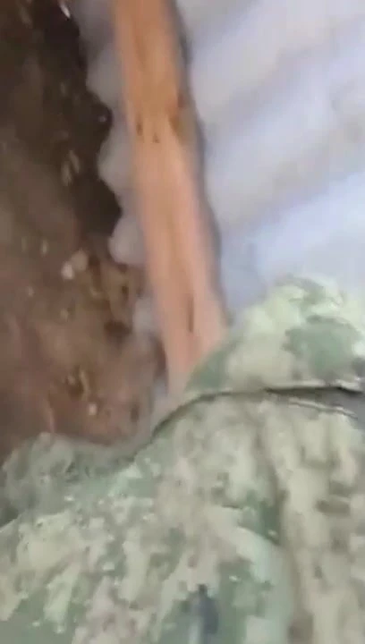 army