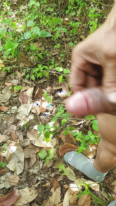 Thudamtrongrungcay