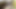 लैटिना कमीनी की गांड और चूत को कमसिन चाटती है