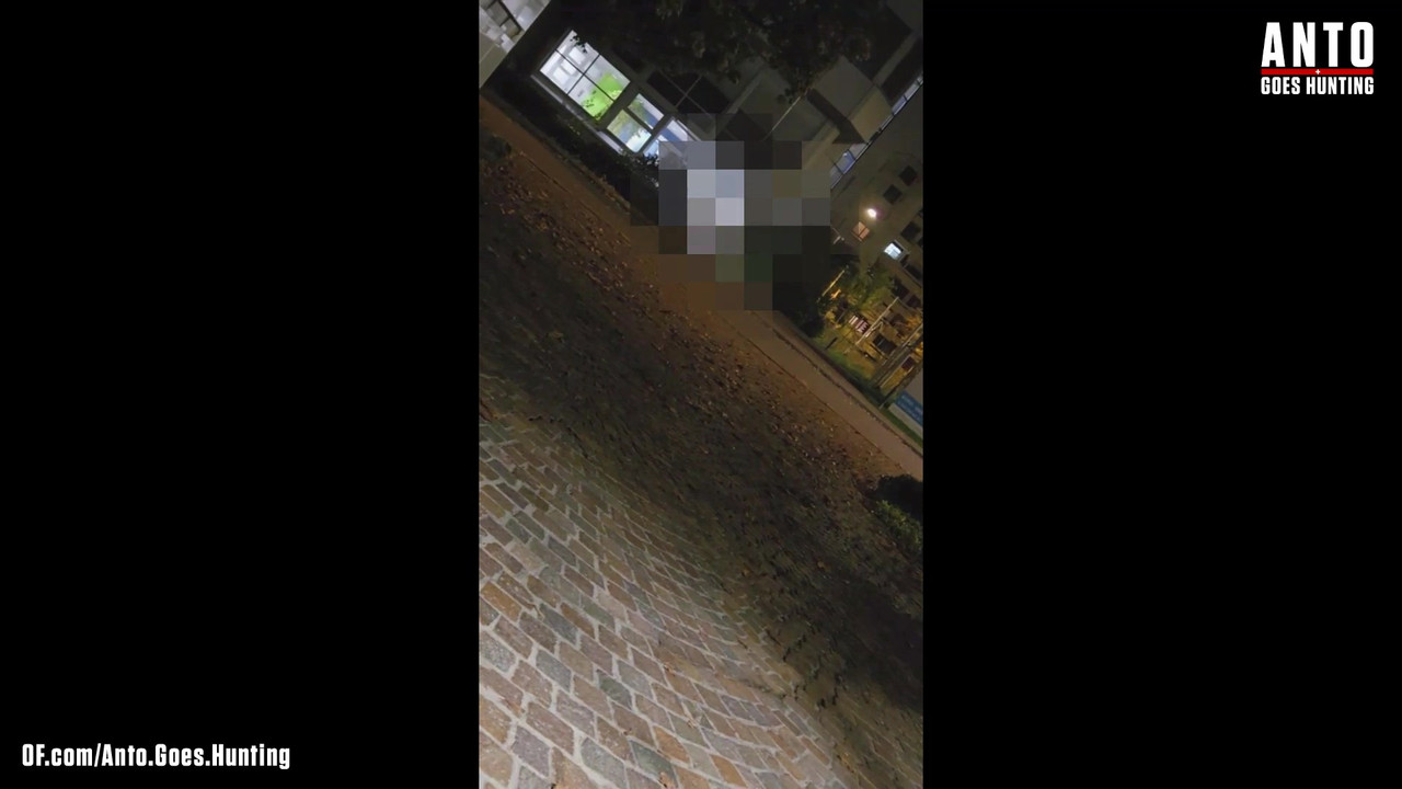 另一个保安走近并说服