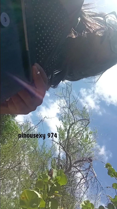 Walk in the forest