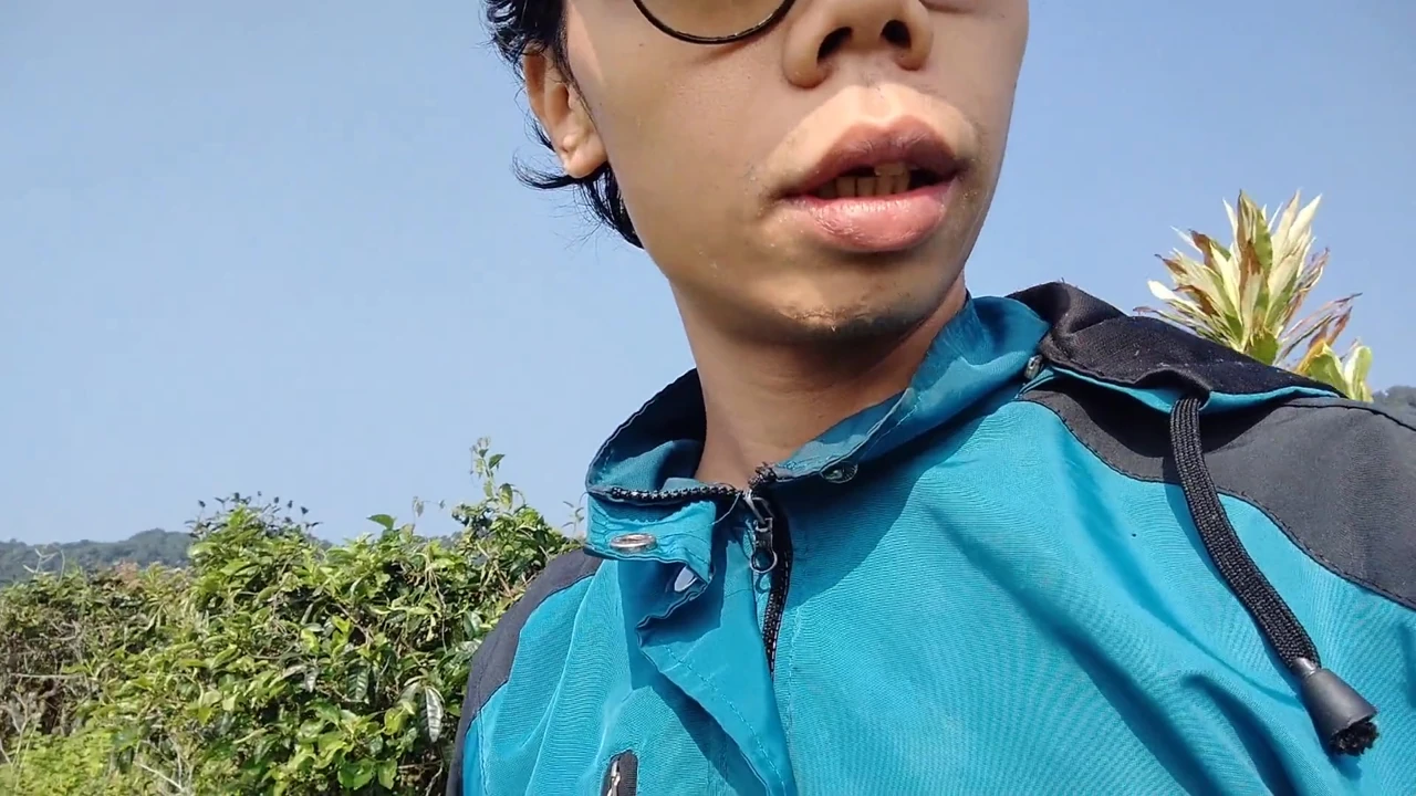 Güzel bir çay plantasyonunda yürüyüş rahatlatıcı doğa macerası