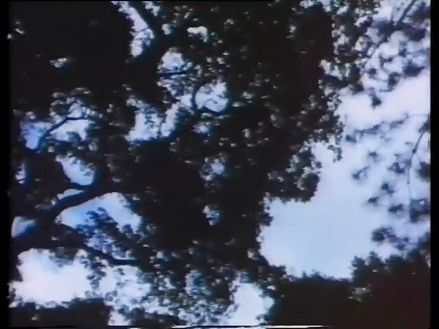 Old Dirty Ranger Bangs a Young Girl Scout From Behind