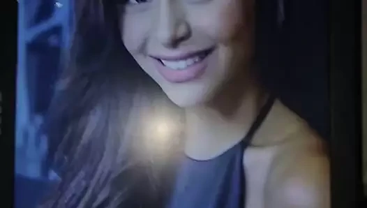 Yassi pressman boşalma haraç