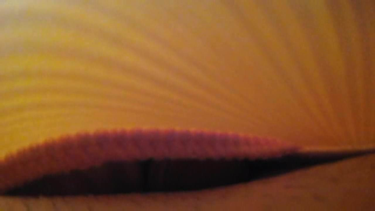 Rub down Pantysex    003    with Body Cam