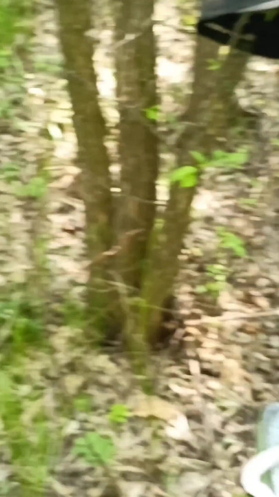 我们被抓到在花园里做爱!